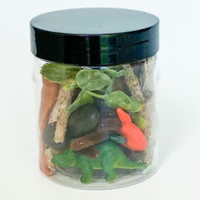 Load image into Gallery viewer, Dinosaur Dough Jar
